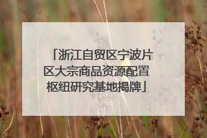 浙江自贸区宁波片区大宗商品资源配置枢纽研究基地揭牌