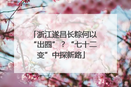 浙江遂昌长粽何以“出圈”？“七十二变”中探新路