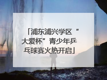 浦东浦兴学区“大爱杯”青少年乒乓球赛火热开启