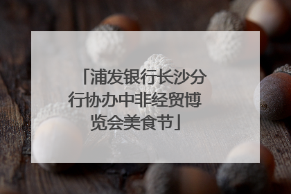 浦发银行长沙分行协办中非经贸博览会美食节