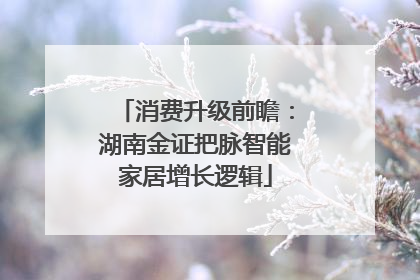 消费升级前瞻：湖南金证把脉智能家居增长逻辑
