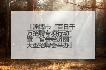 淄博市“百日千万招聘专项行动”暨“省会经济圈”大型招聘会举办