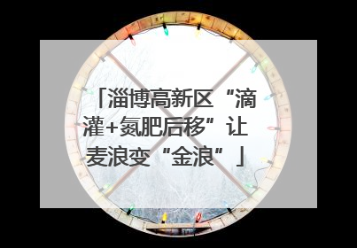 淄博高新区“滴灌+氮肥后移”让麦浪变“金浪”