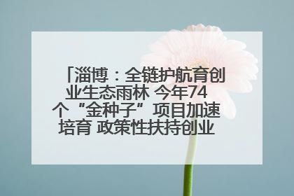 淄博：全链护航育创业生态雨林 今年74个“金种子”项目加速培育 政策性扶持创业9754人