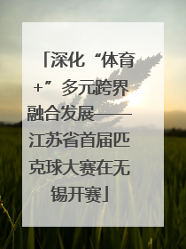 深化“体育+”多元跨界融合发展——江苏省首届匹克球大赛在无锡开赛