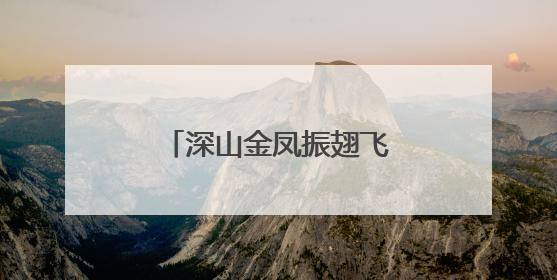 深山金凤振翅飞，钱大妈推动宁都黄鸡产业崛起