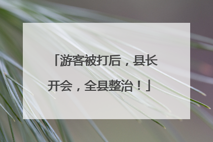 游客被打后，县长开会，全县整治！