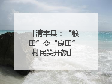清丰县：“粮田”变“良田”村民笑开颜