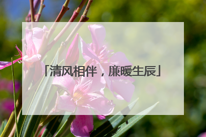 清风相伴，廉暖生辰