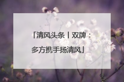 清风头条丨双牌：多方携手扬清风