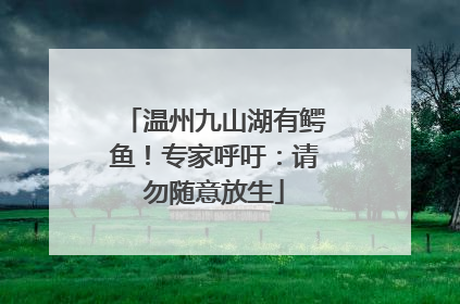 温州九山湖有鳄鱼！专家呼吁：请勿随意放生