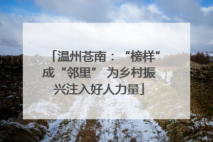温州苍南：“榜样”成“邻里” 为乡村振兴注入好人力量