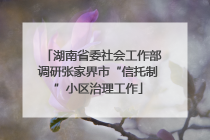 湖南省委社会工作部调研张家界市“信托制”小区治理工作
