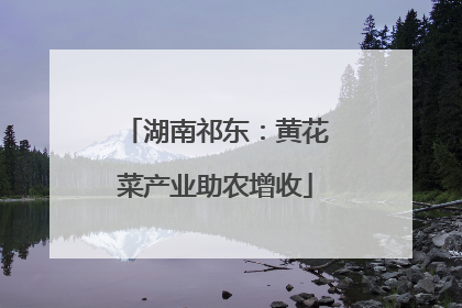 湖南祁东：黄花菜产业助农增收