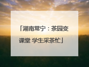 湖南常宁：茶园变课堂 学生采茶忙