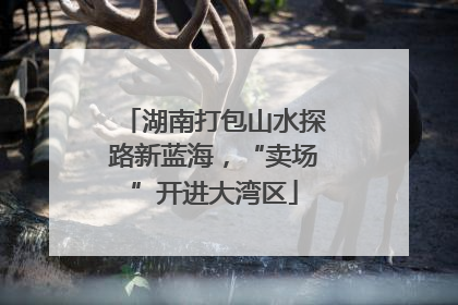 湖南打包山水探路新蓝海，“卖场”开进大湾区