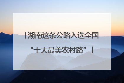 湖南这条公路入选全国“十大最美农村路”