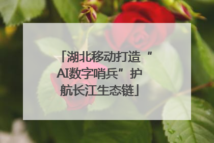 湖北移动打造“AI数字哨兵”护航长江生态链