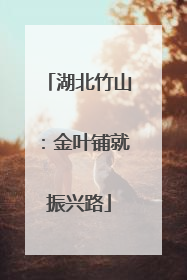 湖北竹山：金叶铺就振兴路