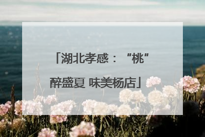 湖北孝感：“桃”醉盛夏 味美杨店
