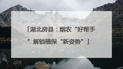 湖北房县：烟农“好帮手”解锁植保“新姿势”