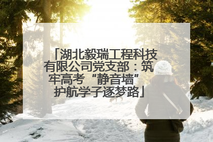 湖北毅瑞工程科技有限公司党支部：筑牢高考“静音墙” 护航学子逐梦路