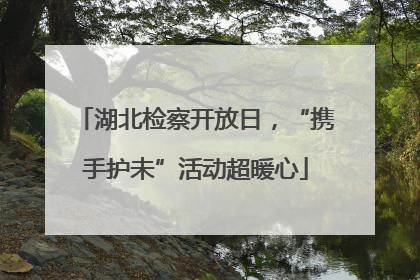 湖北检察开放日，“携手护未”活动超暖心