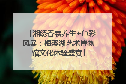 湘绣香囊养生+色彩风暴：梅溪湖艺术博物馆文化体验盛宴