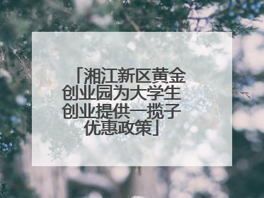 湘江新区黄金创业园为大学生创业提供一揽子优惠政策