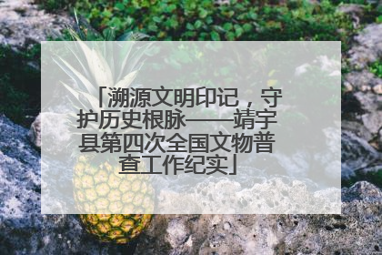 溯源文明印记，守护历史根脉——靖宇县第四次全国文物普查工作纪实