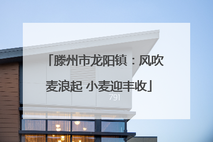 滕州市龙阳镇：风吹麦浪起 小麦迎丰收