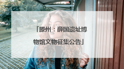 滕州：薛国遗址博物馆文物征集公告