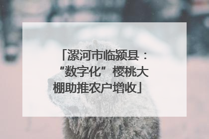 漯河市临颍县：“数字化”樱桃大棚助推农户增收