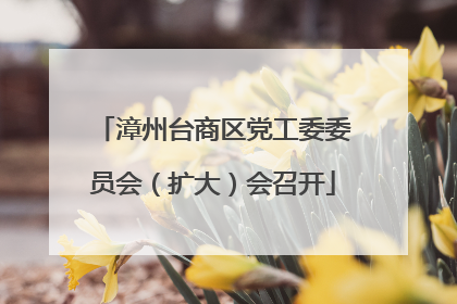 漳州台商区党工委委员会（扩大）会召开