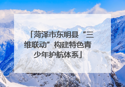 菏泽市东明县“三维联动”构建特色青少年护航体系