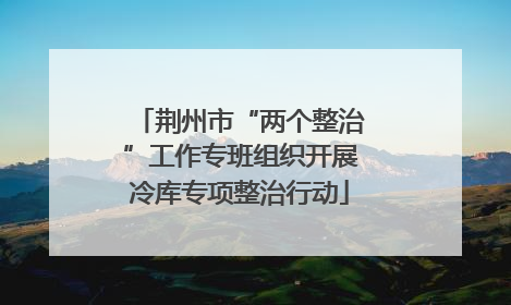 荆州市“两个整治”工作专班组织开展冷库专项整治行动