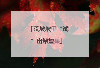 荒坡坡里“试”出希望果