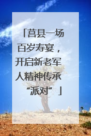 莒县一场百岁寿宴，开启新老军人精神传承“派对”