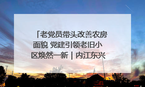 老党员带头改善农房面貌 党建引领老旧小区焕然一新｜内江东兴“红”在哪？④