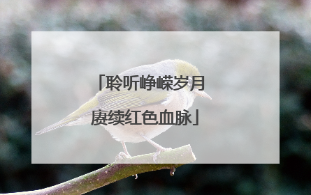 聆听峥嵘岁月 赓续红色血脉