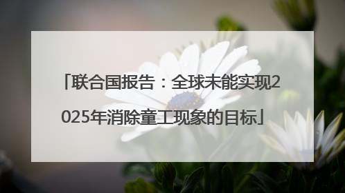 联合国报告：全球未能实现2025年消除童工现象的目标