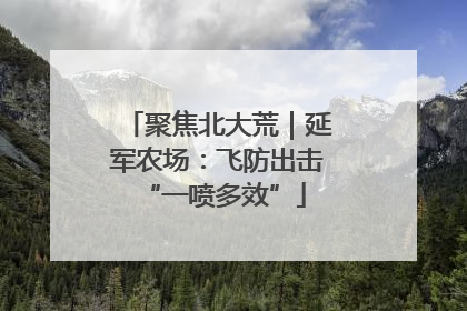 聚焦北大荒｜延军农场：飞防出击 “一喷多效”