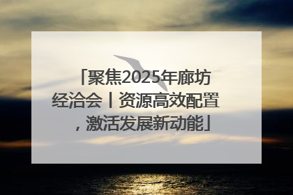 聚焦2025年廊坊经洽会丨资源高效配置，激活发展新动能