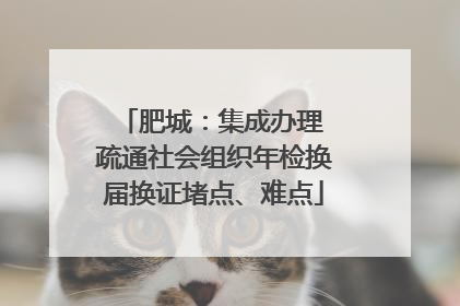肥城：集成办理 疏通社会组织年检换届换证堵点、难点