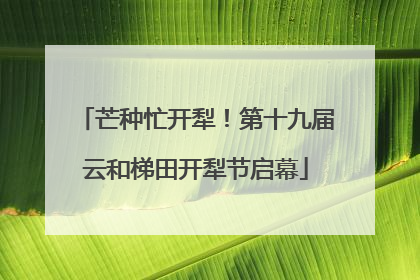芒种忙开犁！第十九届云和梯田开犁节启幕