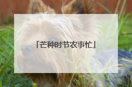 芒种时节农事忙