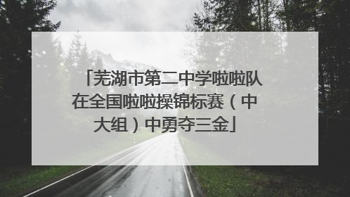 芜湖市第二中学啦啦队在全国啦啦操锦标赛（中大组）中勇夺三金