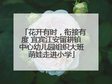 花开有时，衔接有度 宜宾江安留耕镇中心幼儿园组织大班萌娃走进小学