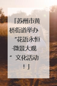 苏州市黄桥街道举办“花语永恒·微景大观”文化活动！