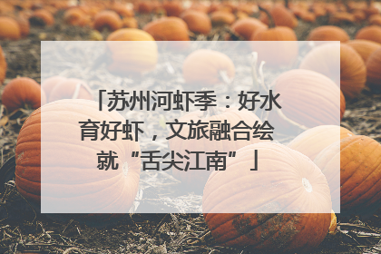 苏州河虾季：好水育好虾，文旅融合绘就“舌尖江南”